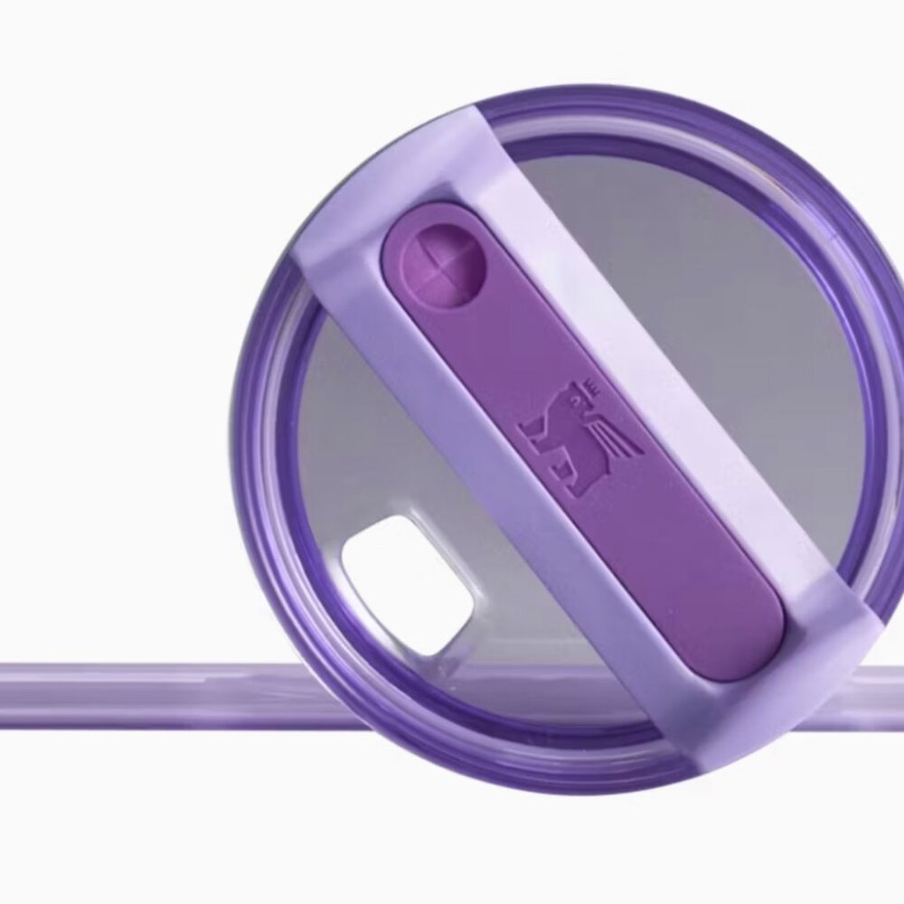 👀 PRICE DROP 👀 OLIVIA RODRIGO STANLEY 40oz TUMBLER - Picture 3 of 7